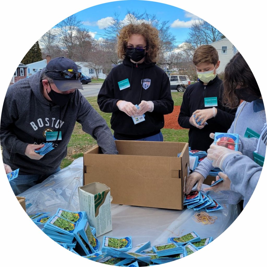 Four PMD volunteers wearing PMD badges are sorting and packaging seed packets. They are fulfilling seed packet requests for Boston community gardens in order to help local gardeners. They are wearing PMD and gloves to handle items to follow covid-19 precautions.